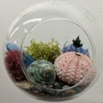 An Ultimate Guide On How To Create a Terrarium