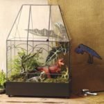 Wardian case terrariums as gifts for someone else or you