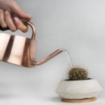 Cactus Care How To Water Cacti (Cactuses) tips and techniques