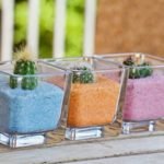 best and worst cacti pots and containers list post