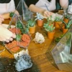 How to Make a Succulent Terrarium - Step By Step Guide