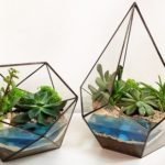 How to Make a Terrarium with Artificial Water - Step By Step