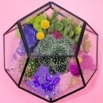 What Can You Put in a Terrarium Besides Plants - Unique Ideas