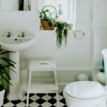Top Succulents for a Bathroom and Care Tips