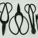 Bonsai Tools Explained - List of Basic and Professional Tools