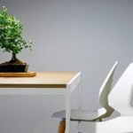 How to Tell If a Bonsai Is Healthy - Common Issues and Care Mistakes