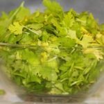 Why Is My Cilantro (Coriander) Turning Yellow or White - Reasons and Tips